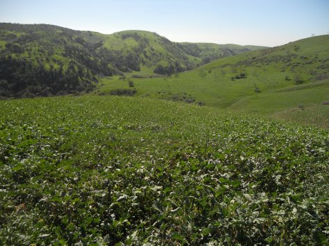 Bicycle Outings (192)