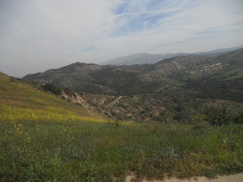 Bicycle Outings (207)