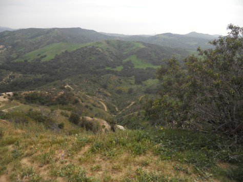 Bicycle Outings (215)