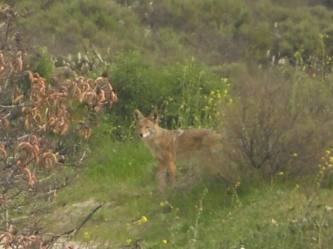 Bicycle Outings (218)