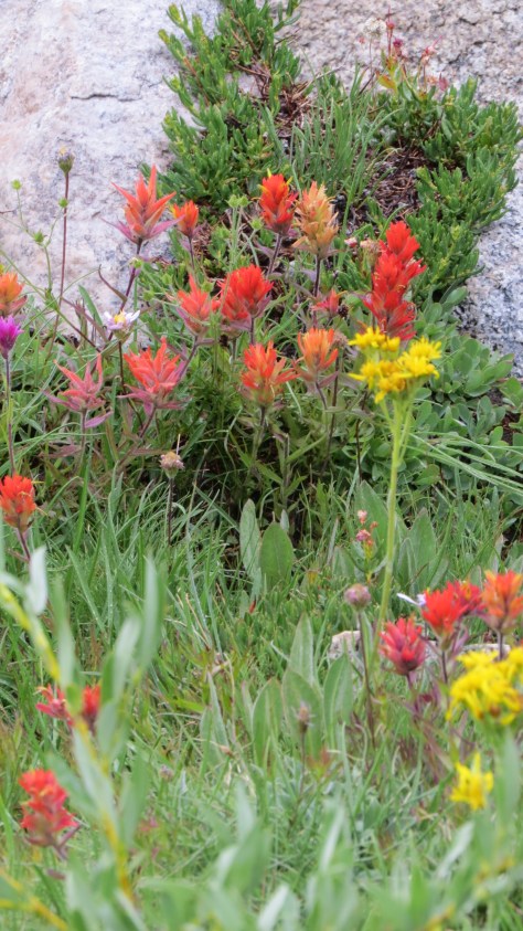 4 Little Lakes (110)