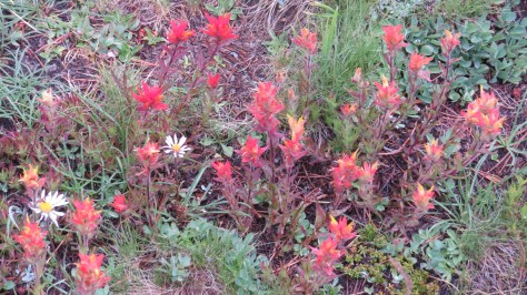 4 Little Lakes (111)