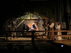 Christmas Scenes (21)